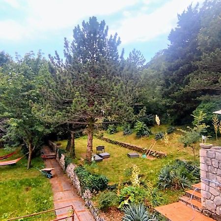 Amazing Sea-Mountain Valley View House With 3 Terraces And Huge Chill Gardens, 5Min From The Sea! Bribir  Ngoại thất bức ảnh